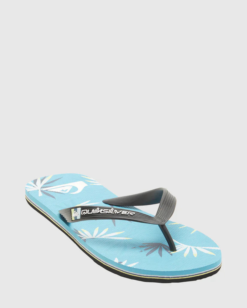 Qs Footwear Sandals Molokai Art Ii