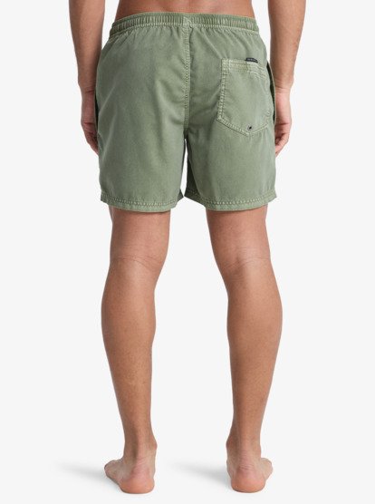 Qs Young Mens Apparel Everyday Surfwash Volley 15